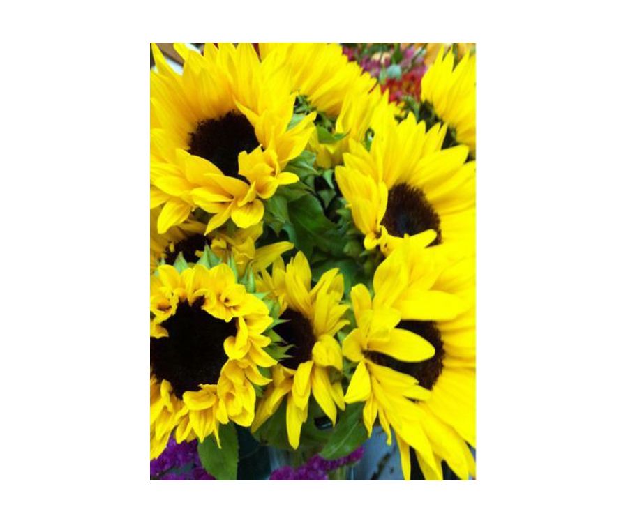 Ramo de girasoles Ramo de girasoles