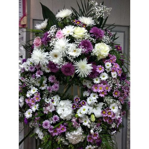 Funerarios: Catálogo de Flores Maranta Funerarios: Catálogo de Flores Maranta