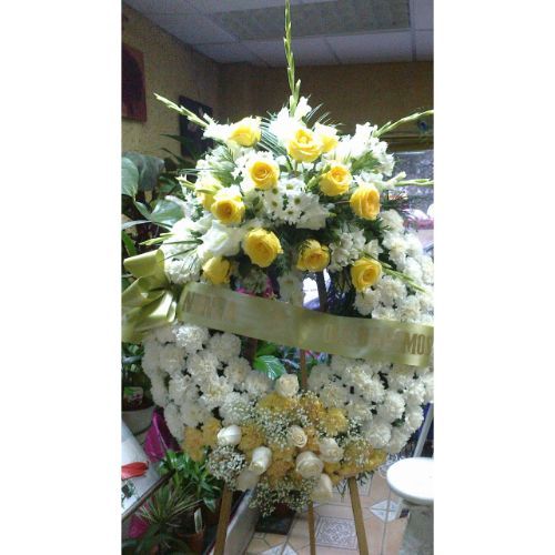 Funerarios: Catálogo de Flores Maranta Funerarios: Catálogo de Flores Maranta