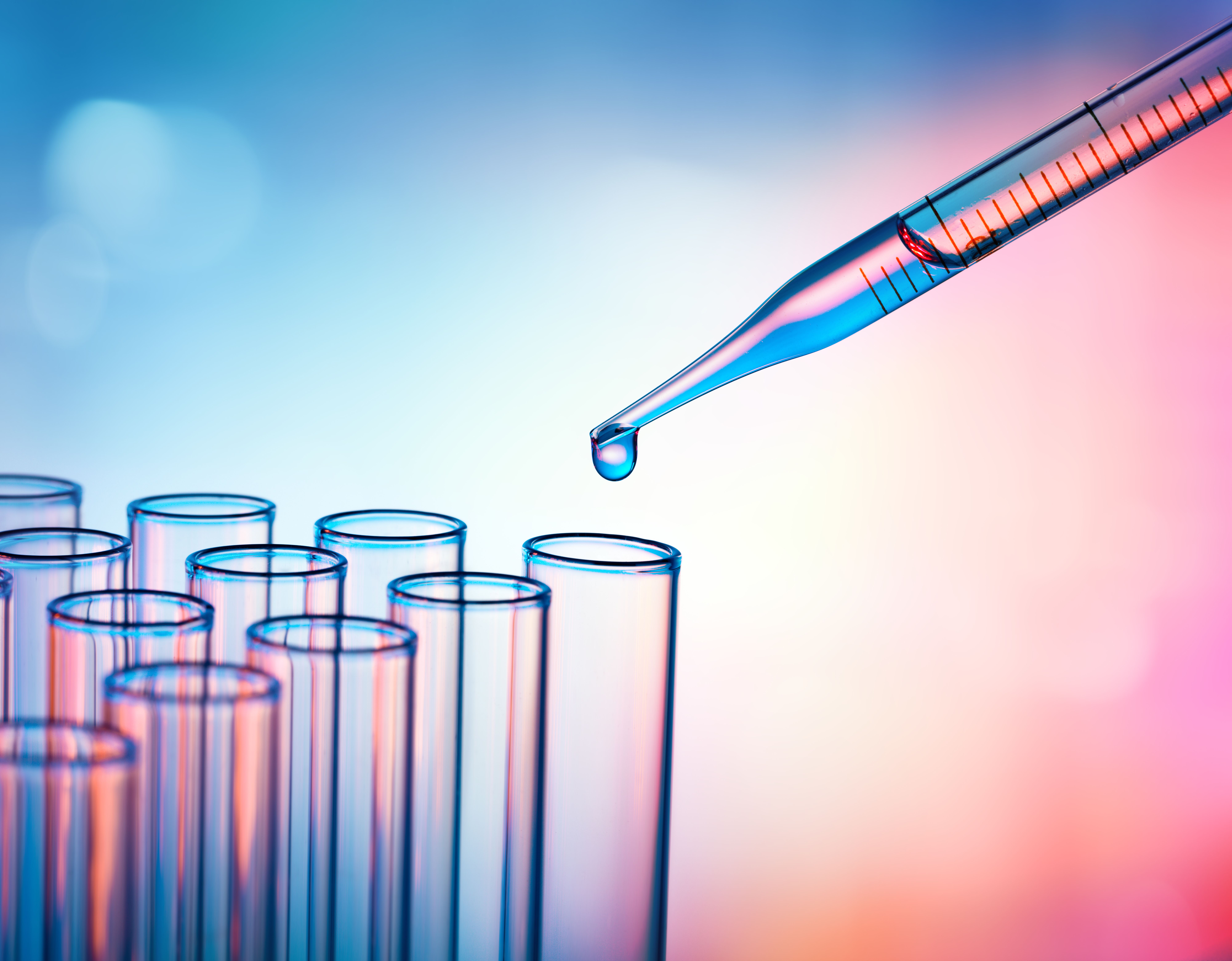 Trabajamos con todos los laboratorios: Servicios de Saninatur Suplementos Trabajamos con todos los laboratorios: Servicios de Saninatur Suplementos