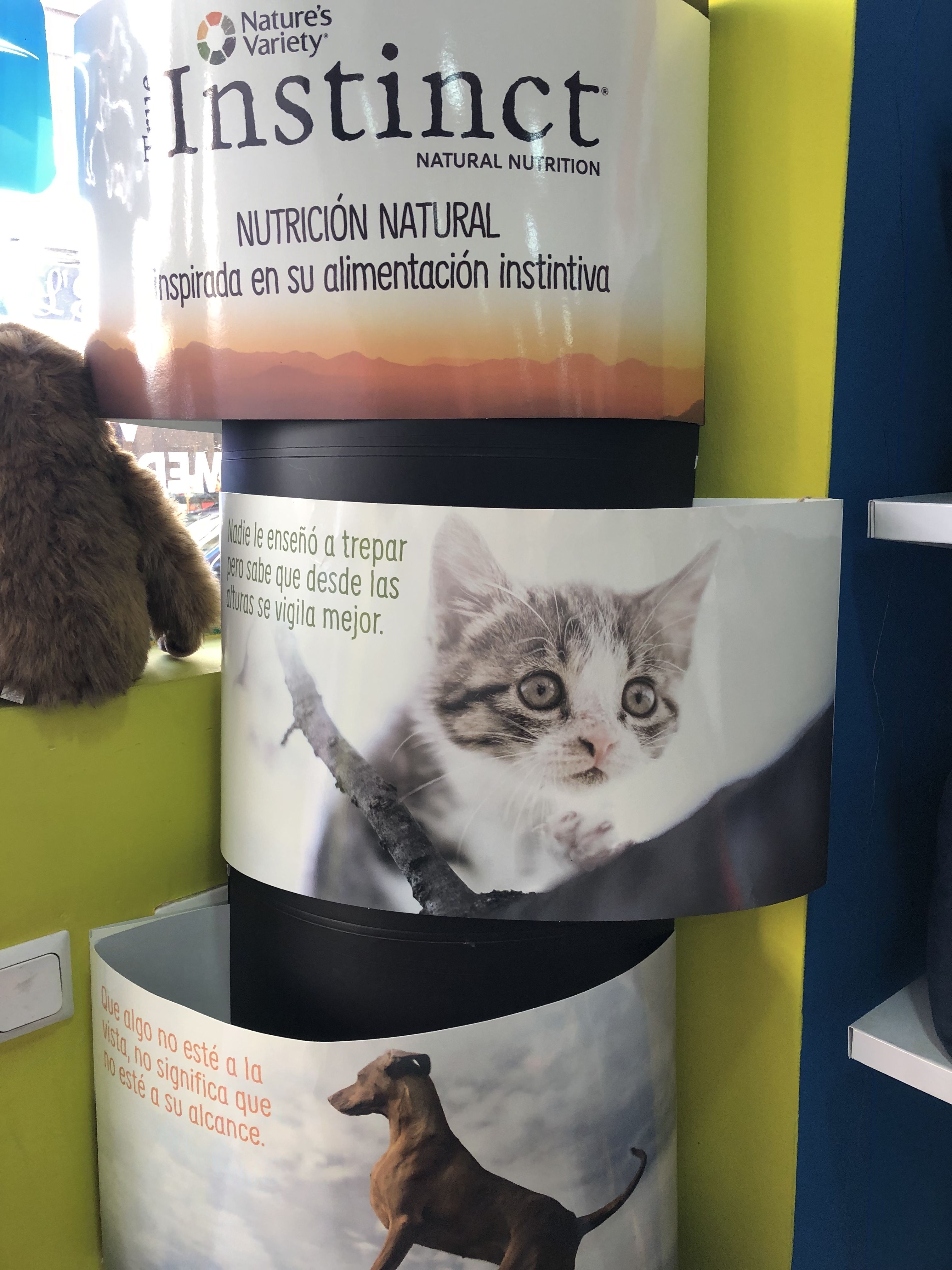 Asesoramiento nutricional para tus mascotas: Nuestros servicios de Darlings Asesoramiento nutricional para tus mascotas: Nuestros servicios de Darlings