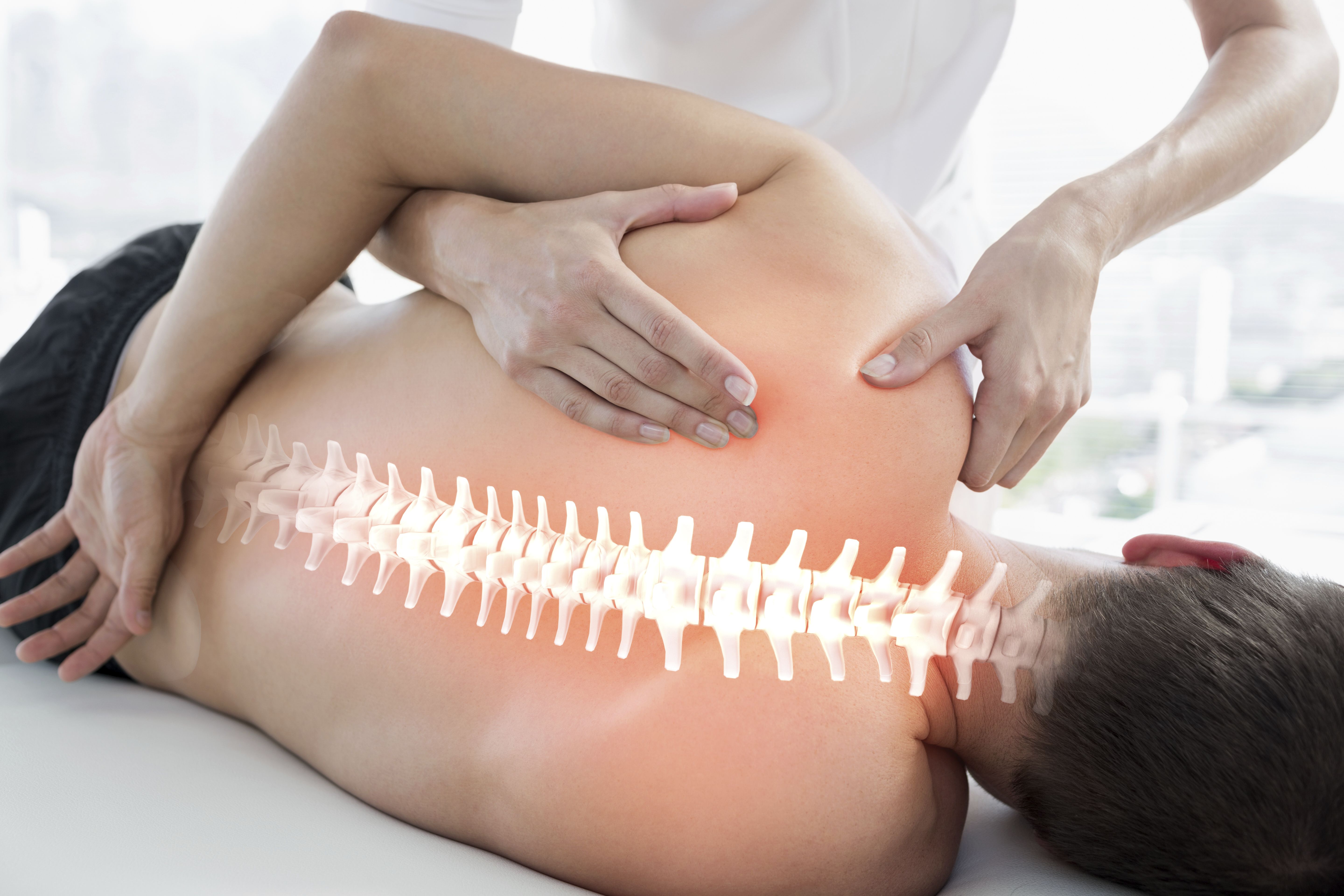 Osteopatía holística: Terapias de Saüc Salut Osteopatía holística: Terapias de Saüc Salut