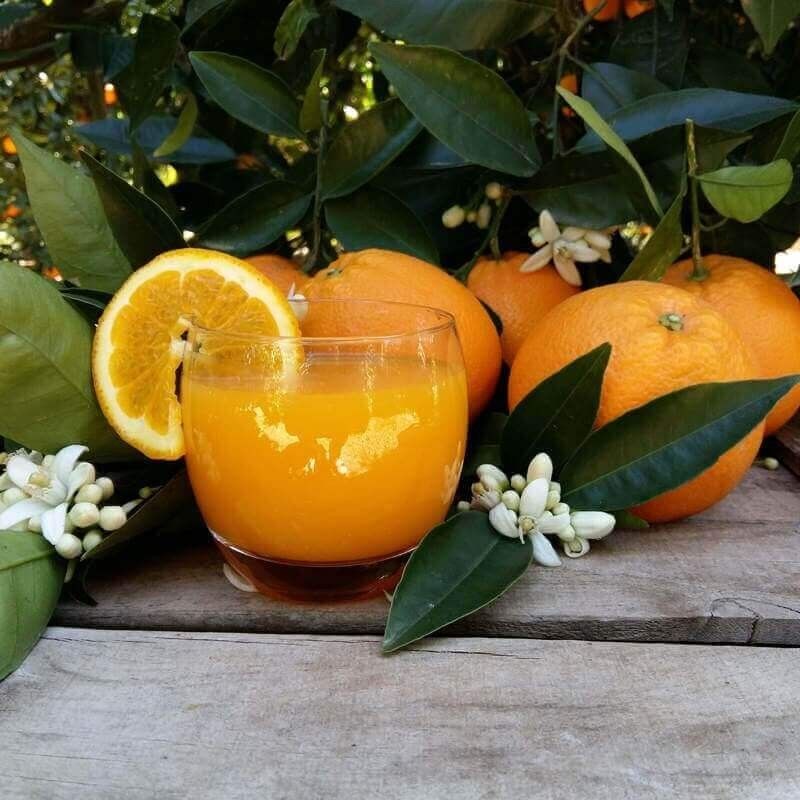 Naranjas de zumo pequeño 20kg: Productos de Naranjas Julián Naranjas de zumo pequeño 20kg: Productos de Naranjas Julián