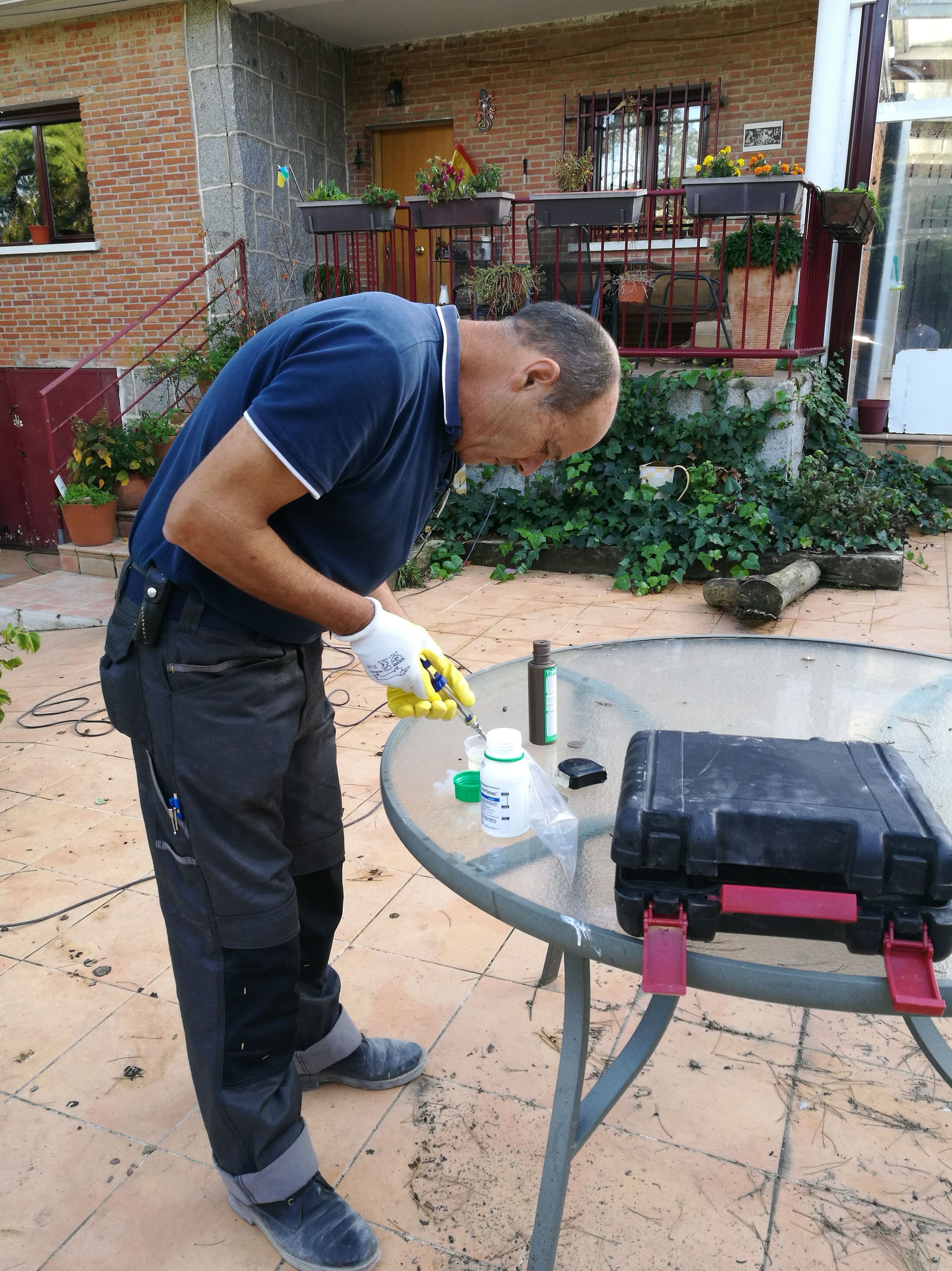 Vector3 Incorpora la Endoterapia Vegetal 