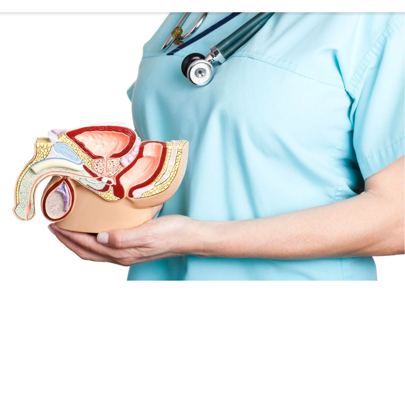 Análisis: Servicios de Dr. Nicolás Chesa Ponce Análisis: Servicios de Dr. Nicolás Chesa Ponce