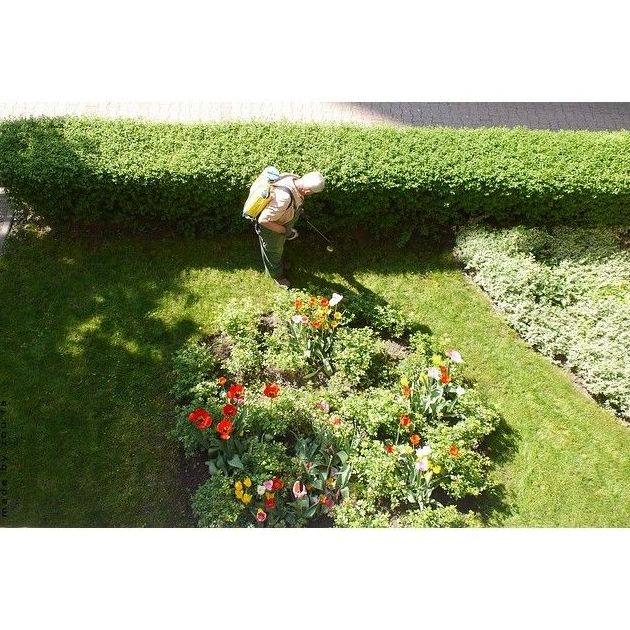 Fumigación de malas hierbas: Servicios de Jardinería 3,14 Fumigación de malas hierbas: Servicios de Jardinería 3,14