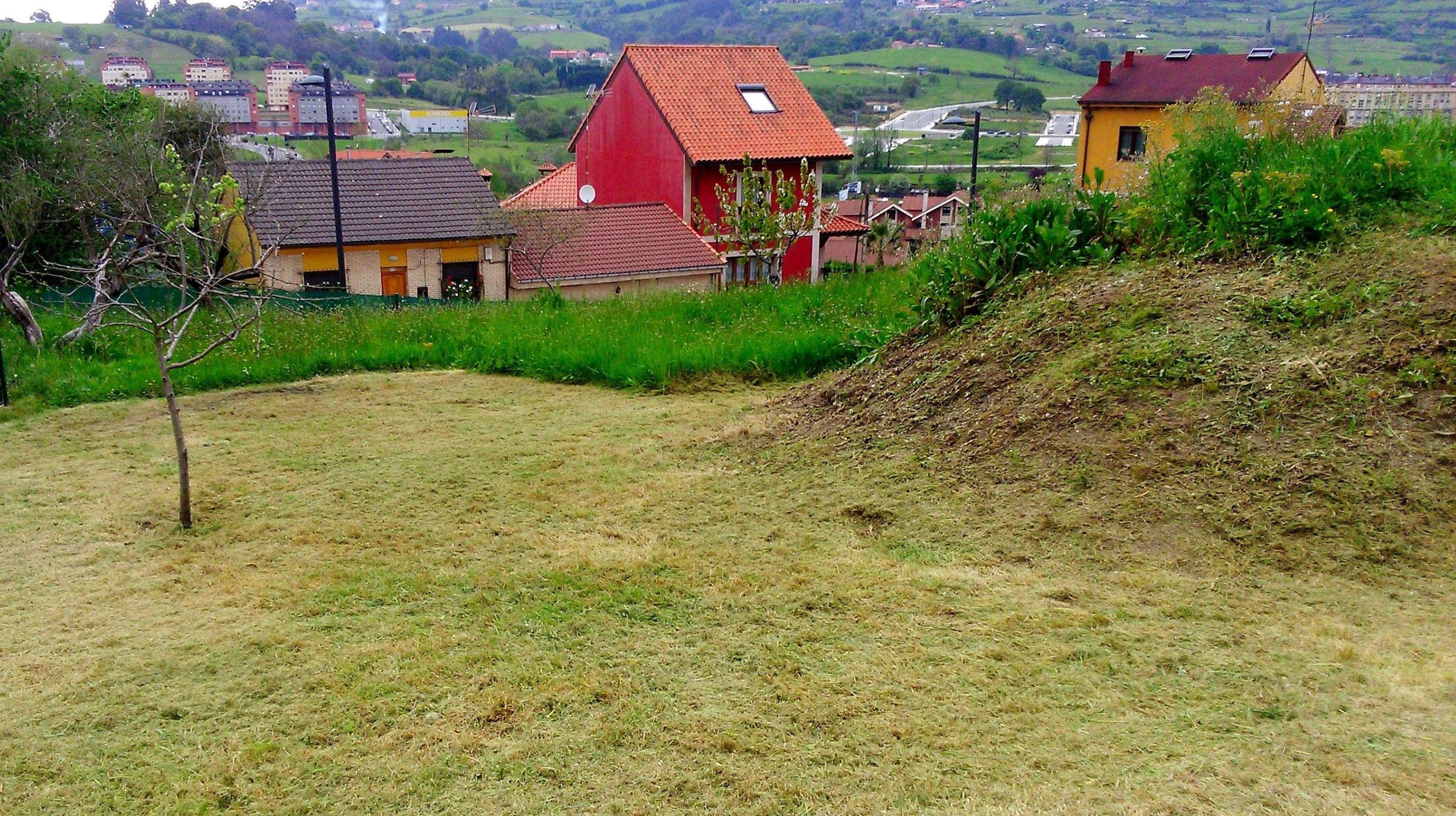 Limpieza y desbroce de finca. Limpieza y desbroce de finca.