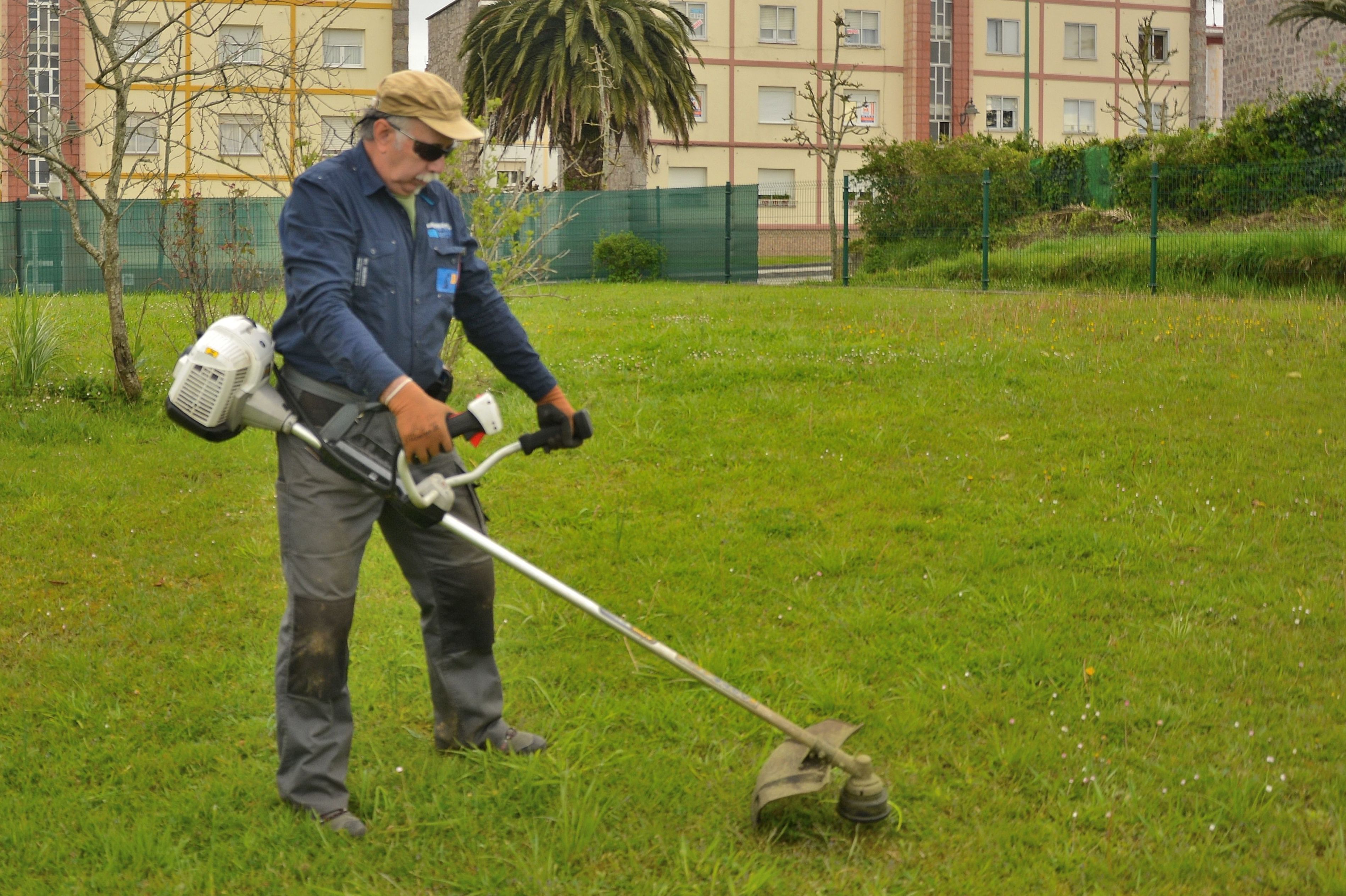 Desbroces: Servicios de Jardinería 3,14 Desbroces: Servicios de Jardinería 3,14