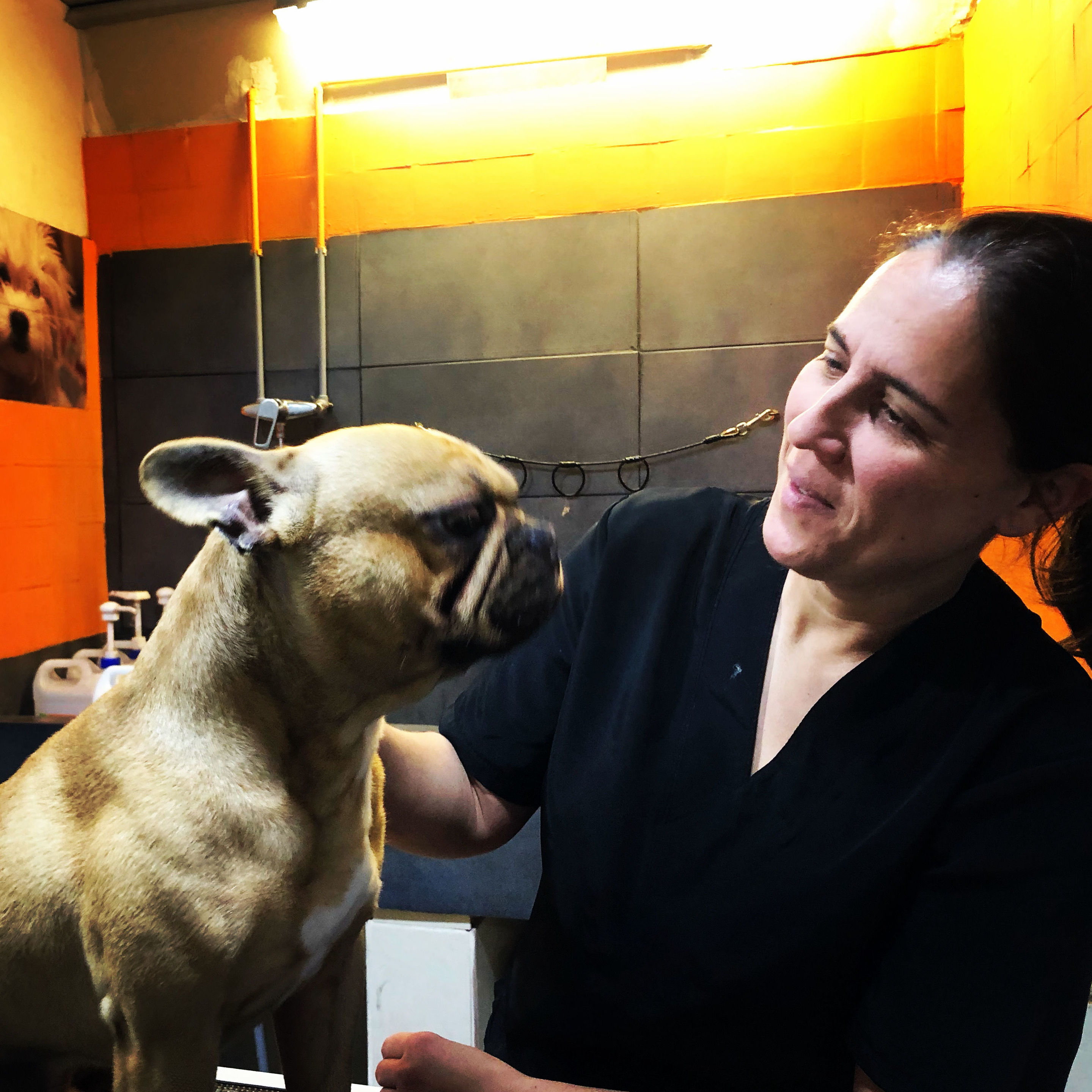 Foto 67 de Tiendas de animales en Barcelona | Veterinario Lovedogs