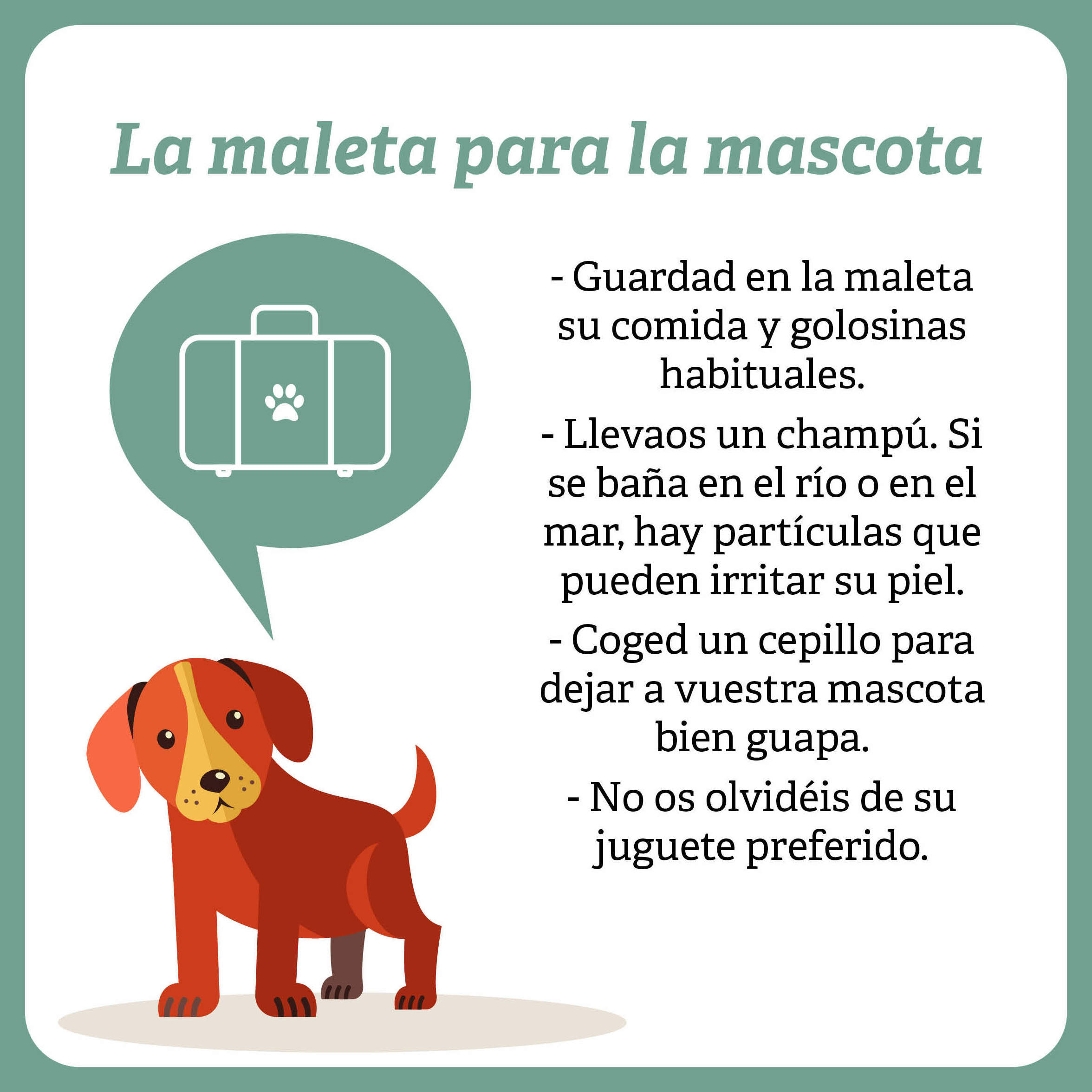 La maleta para tu mascota La maleta para tu mascota