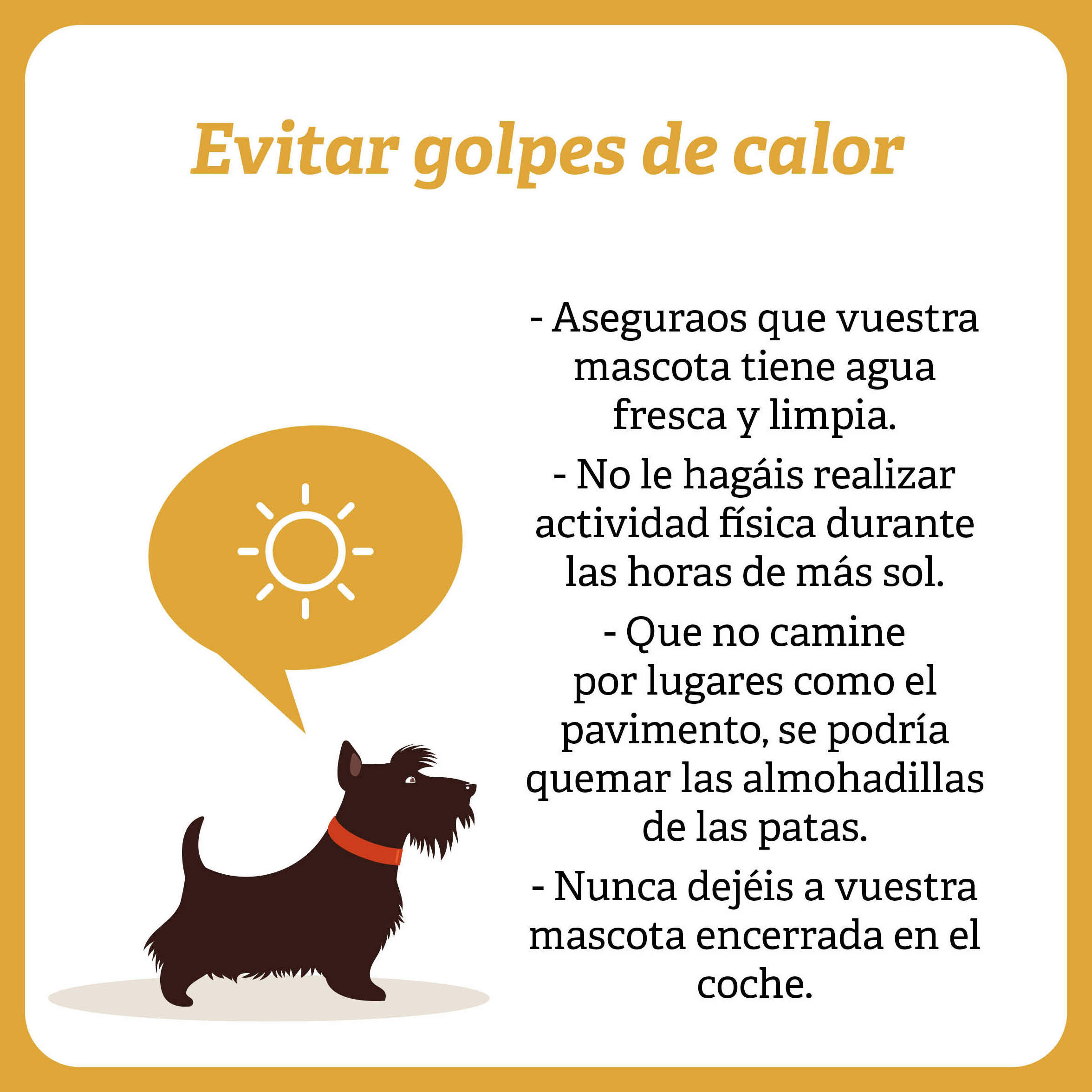 Evitar golpes de calor Evitar golpes de calor