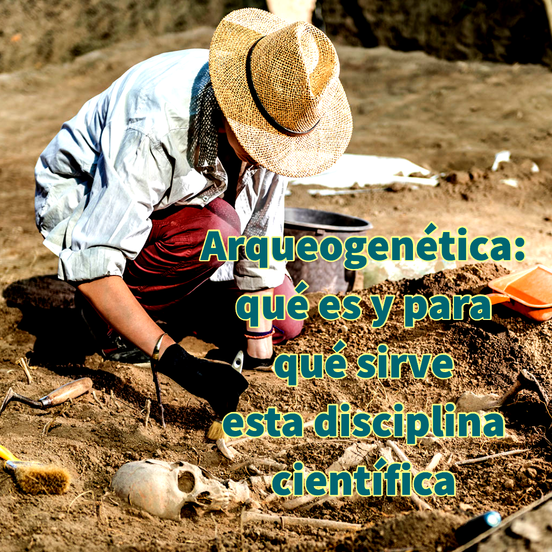 Arqueogenética: qué es y para qué sirve esta disciplina científica