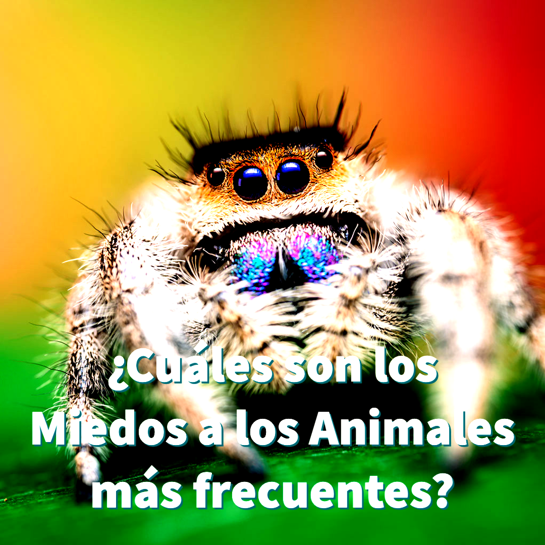 Miedo a animales }}
