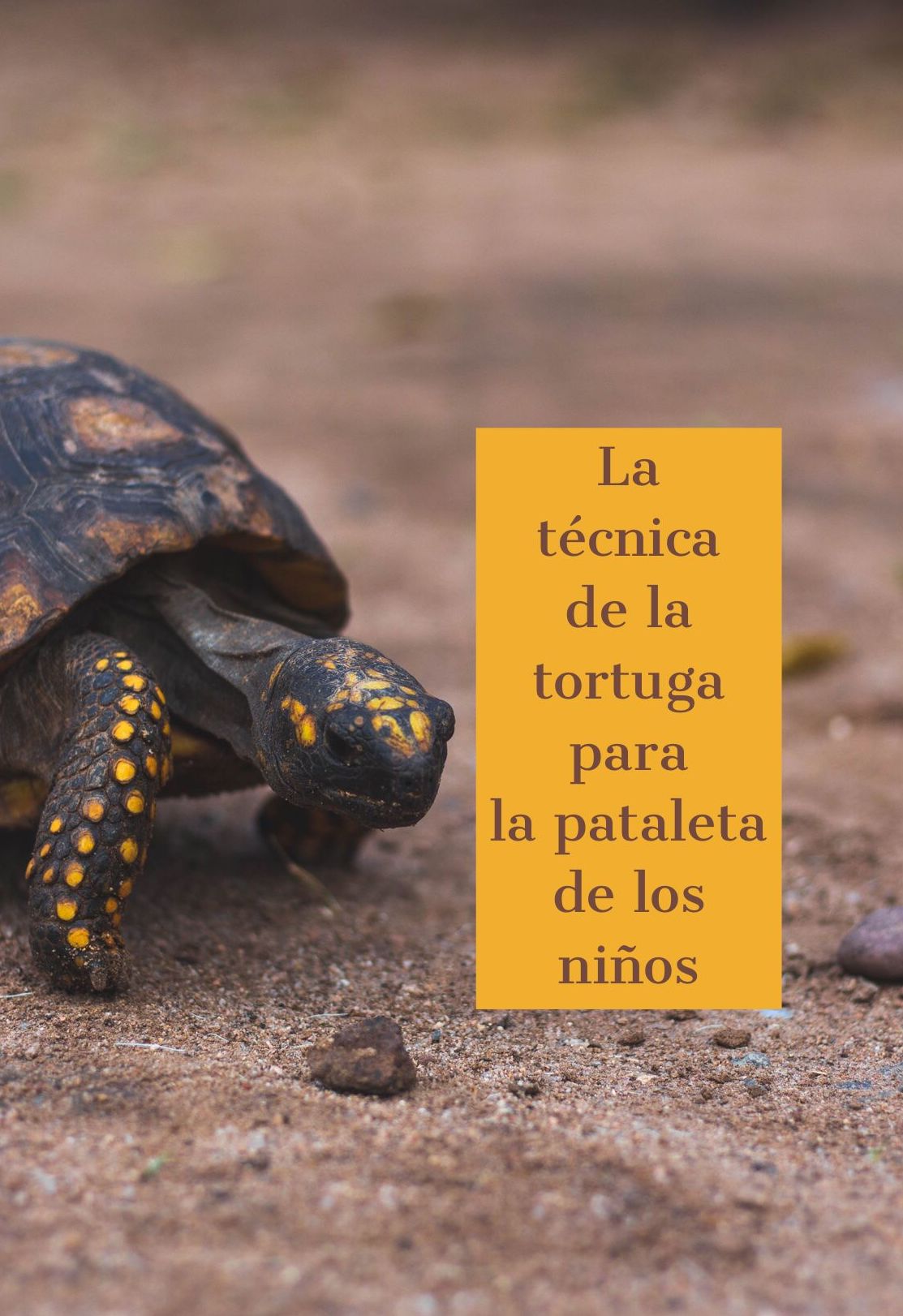 La técnica de la tortuga para las pataletas de los niños 