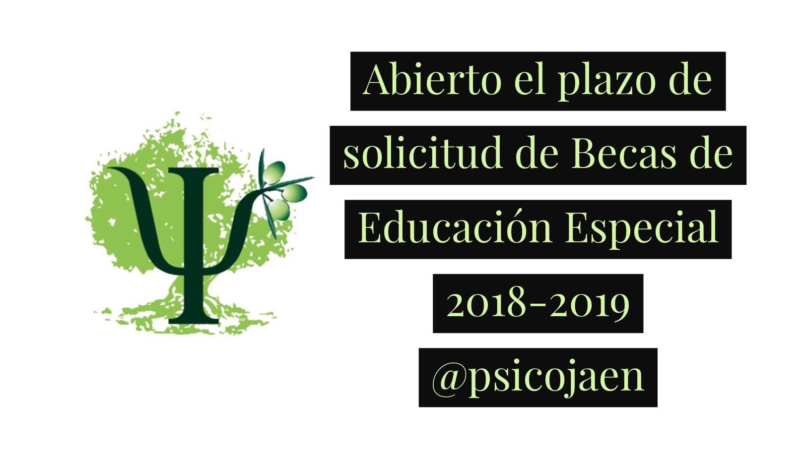 ABIERTO EL PLAZO DE SOLICITUD PARA LAS BECAS DE EDUCACIÓN ESPECIAL PARA EL CURSO 2018-2019