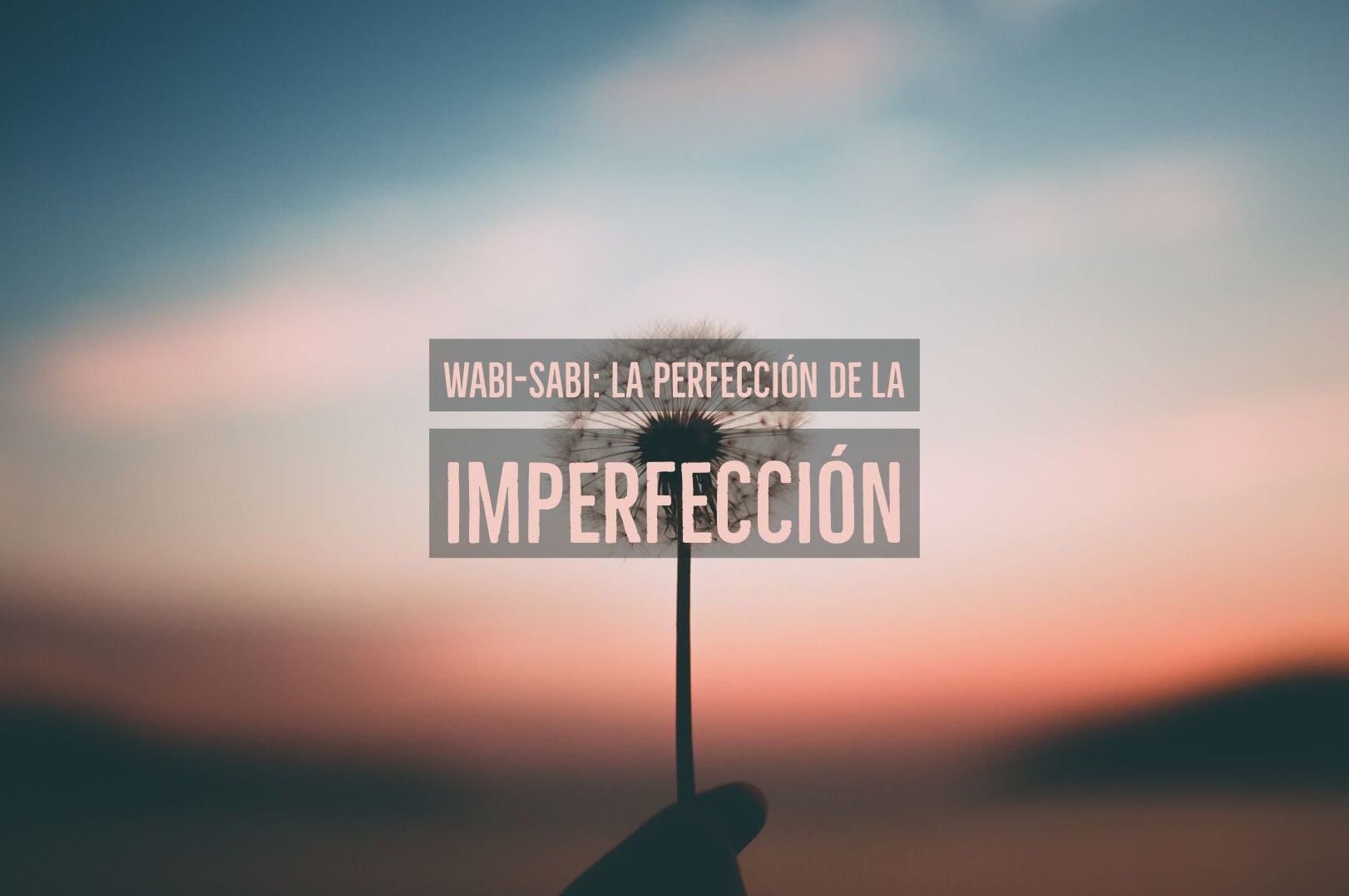 Wabi-Sabi: la perfección de la imperfección 
