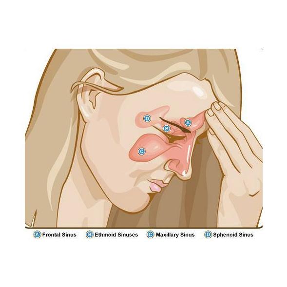 Otros: Especialidades de Dr. García Robaina Alergólogo Otros: Especialidades de Dr. García Robaina Alergólogo
