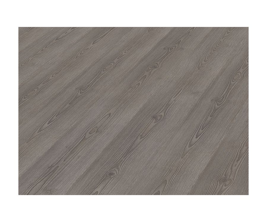 Alarce Siberiano Gris Alarce Siberiano Gris