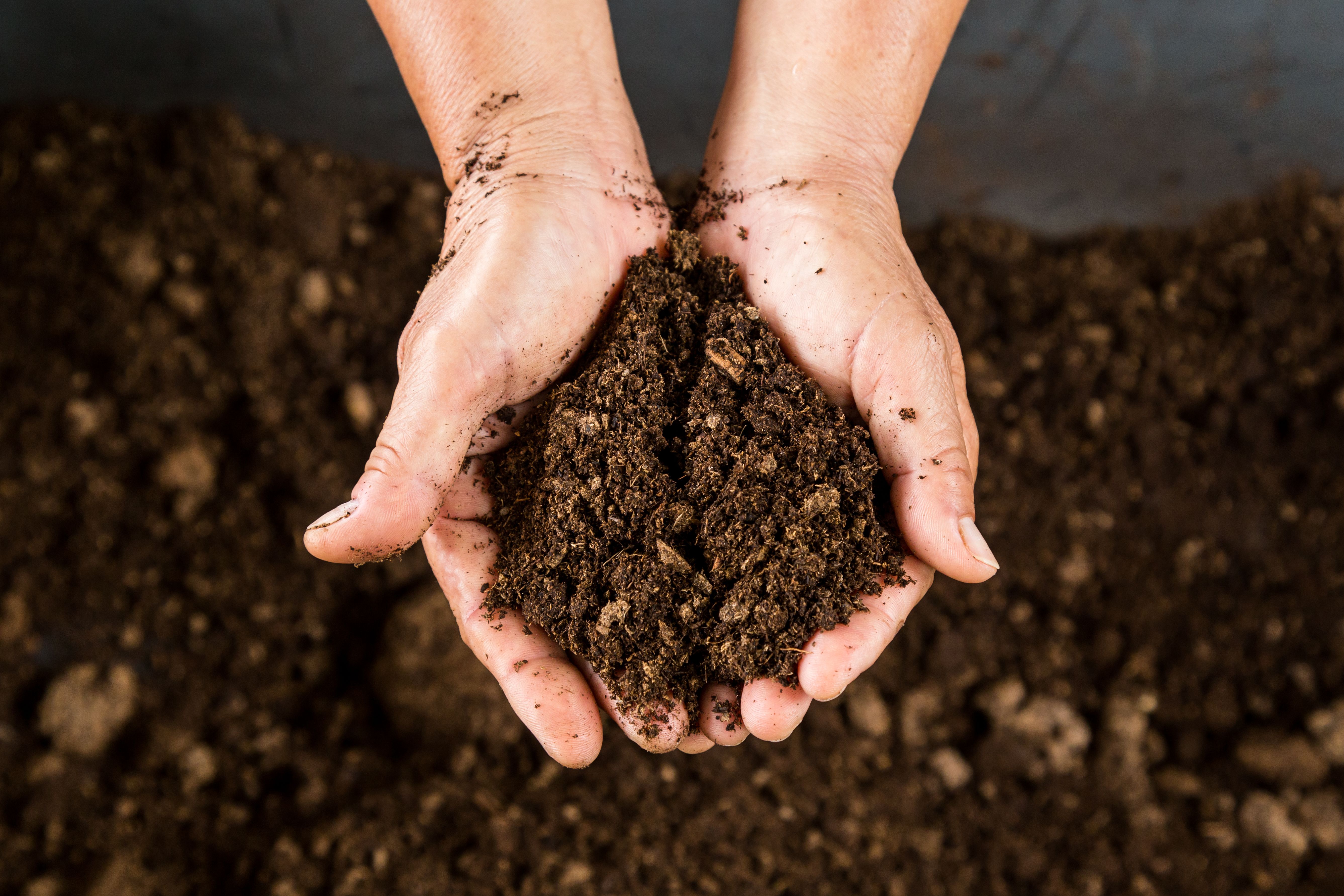 Venta de tierra: Servicios de Atalaya Jardinería Venta de tierra: Servicios de Atalaya Jardinería