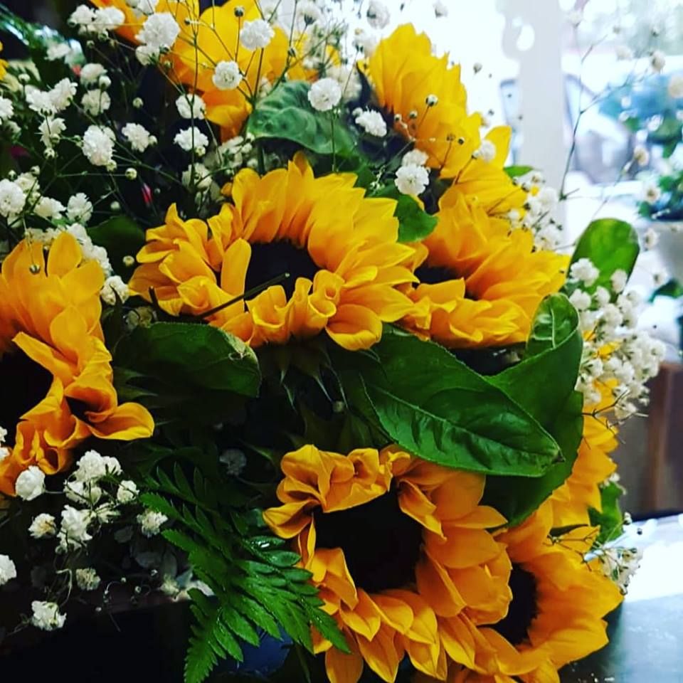 Servicio Flor10: Servicios de D'Rosas Servicio Flor10: Servicios de D'Rosas