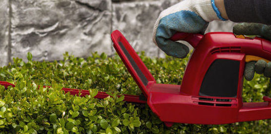 jardines mantenimiento, limpieza y diseño en Móstoles jardines mantenimiento, limpieza y diseño en Móstoles