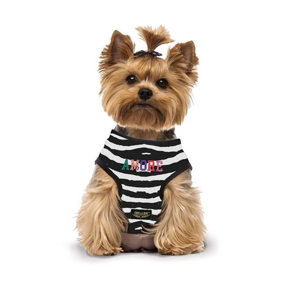 Accesorios para mascotas: Servicios de Distribuciones Garcilleja Accesorios para mascotas: Servicios de Distribuciones Garcilleja