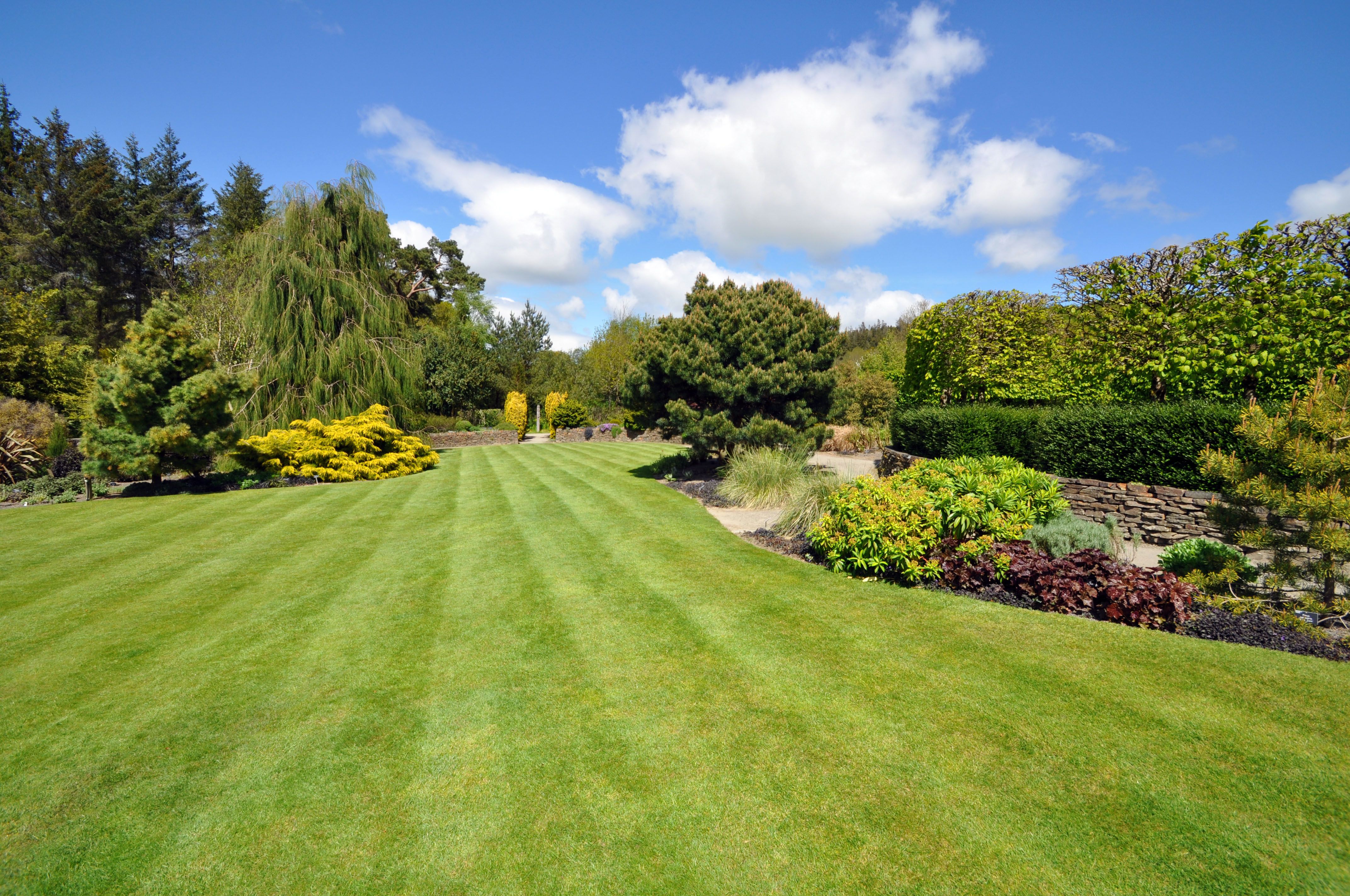 Jardinería: Servicios de Servicios Integrales JJ Jardinería: Servicios de Servicios Integrales JJ
