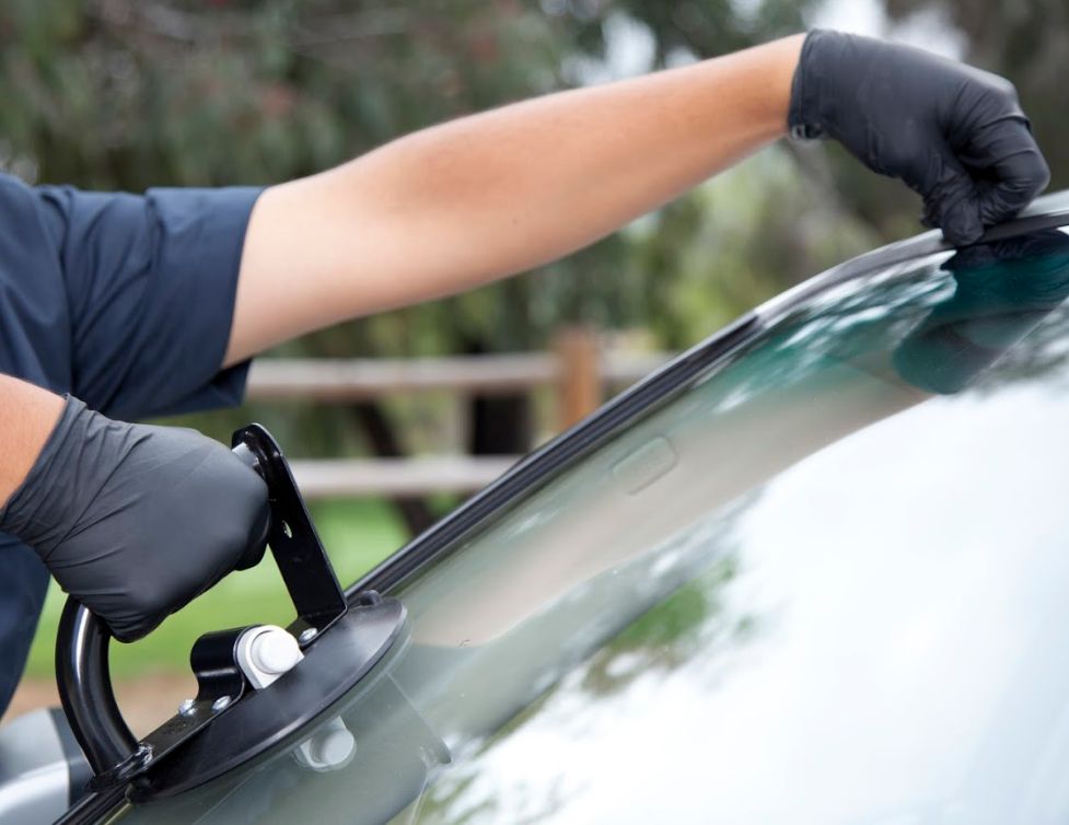 Cambio de lunas: Servicios de Bizkor Autoak Cambio de lunas: Servicios de Bizkor Autoak