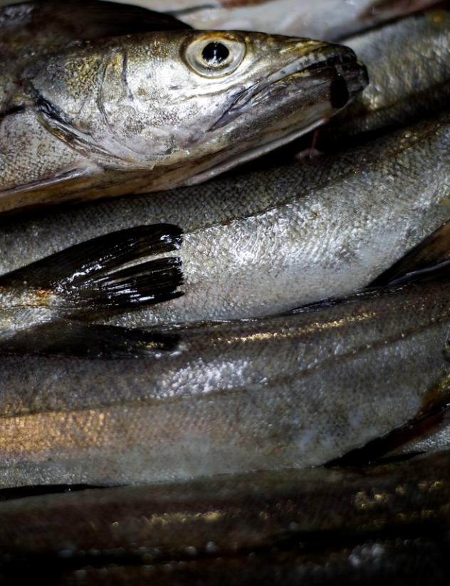 Foto 21 de Pescaderías en Bilbao | Pescados y Mariscos Gaizka