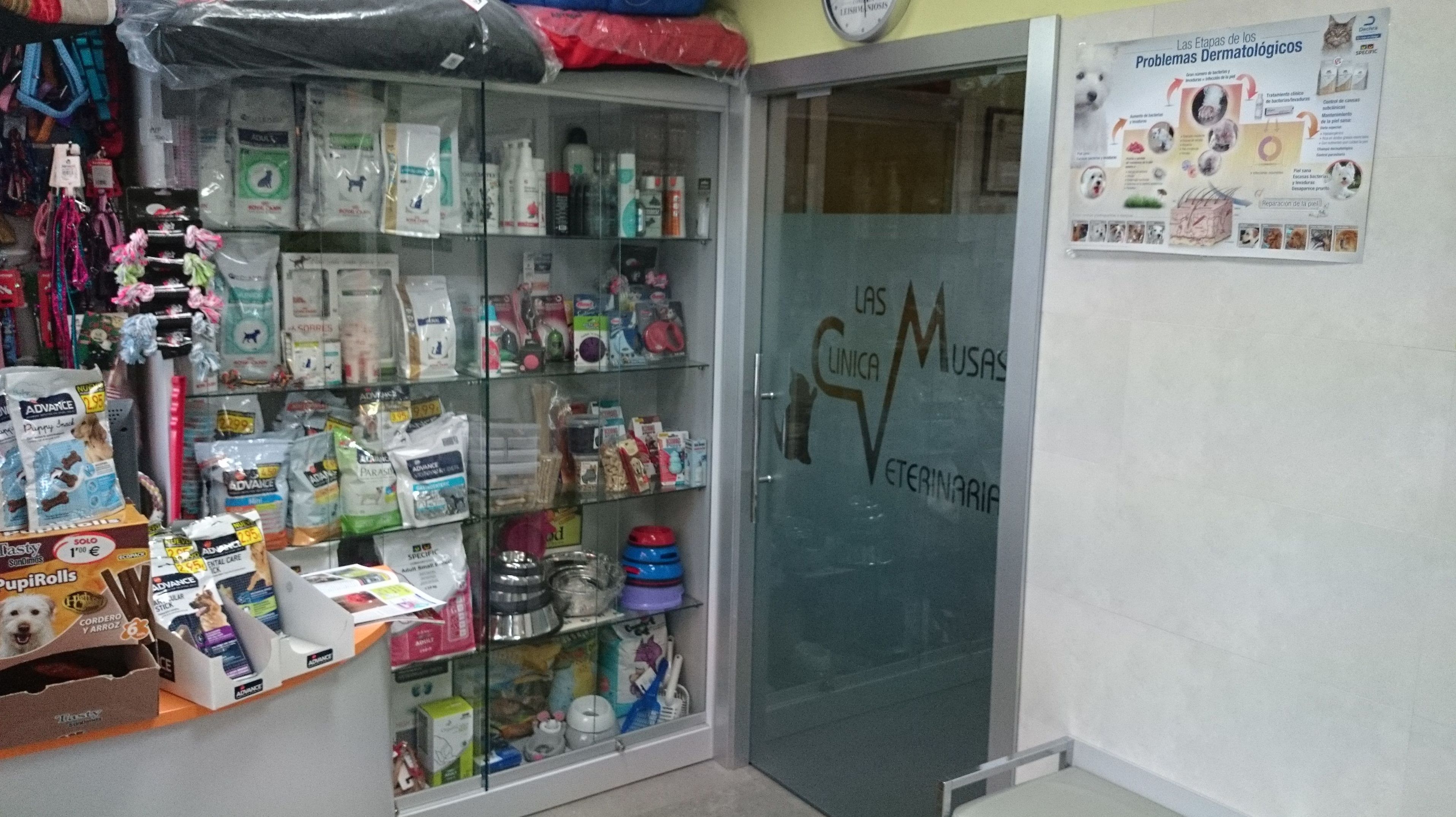 Niuestra clinica . Interior 