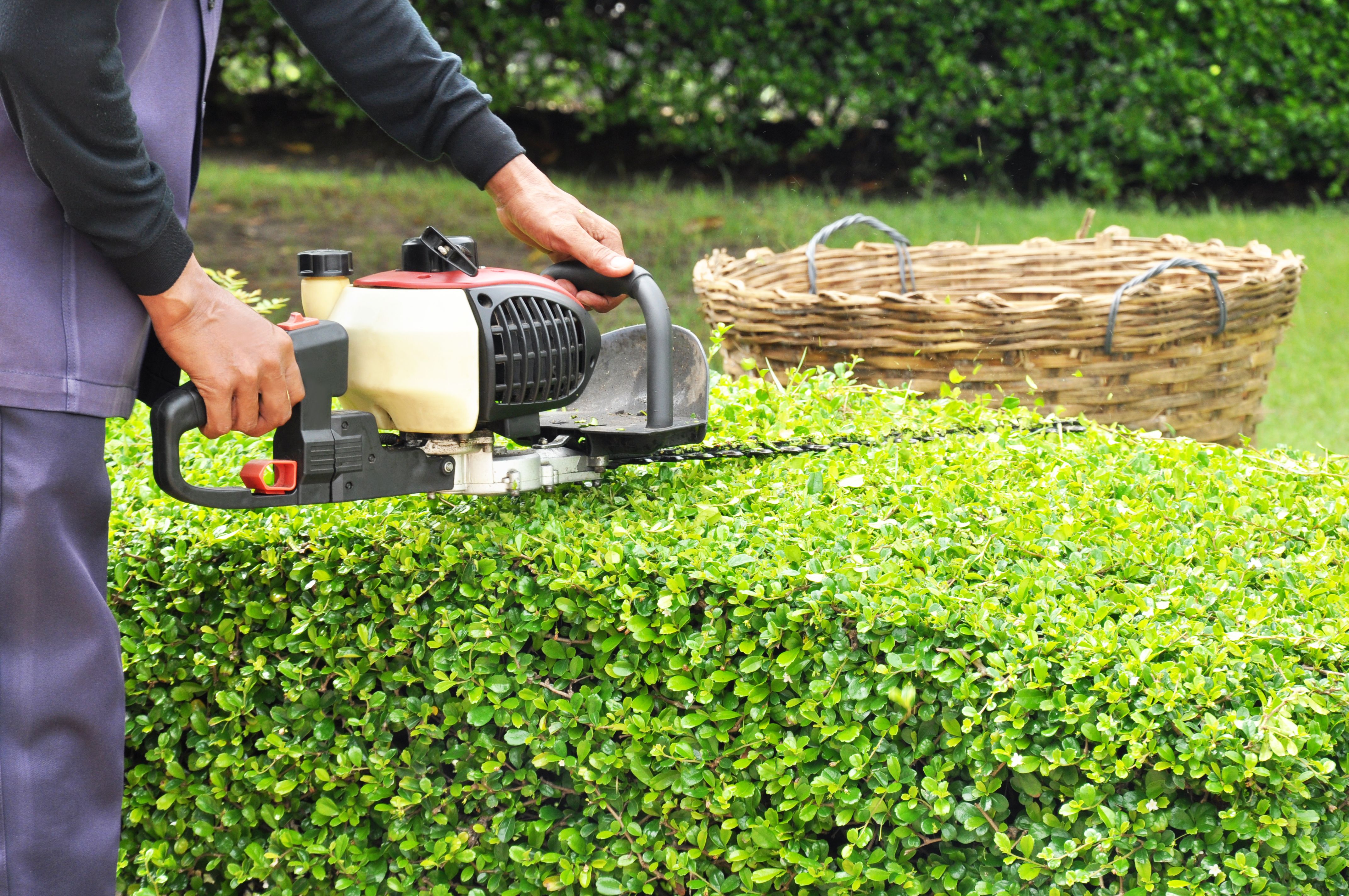 Manteniment de jardins privats i de zones comunitàries: Els nostres serveis de Jardinería Bordera Manteniment de jardins privats i de zones comunitàries: Els nostres serveis de Jardinería Bordera