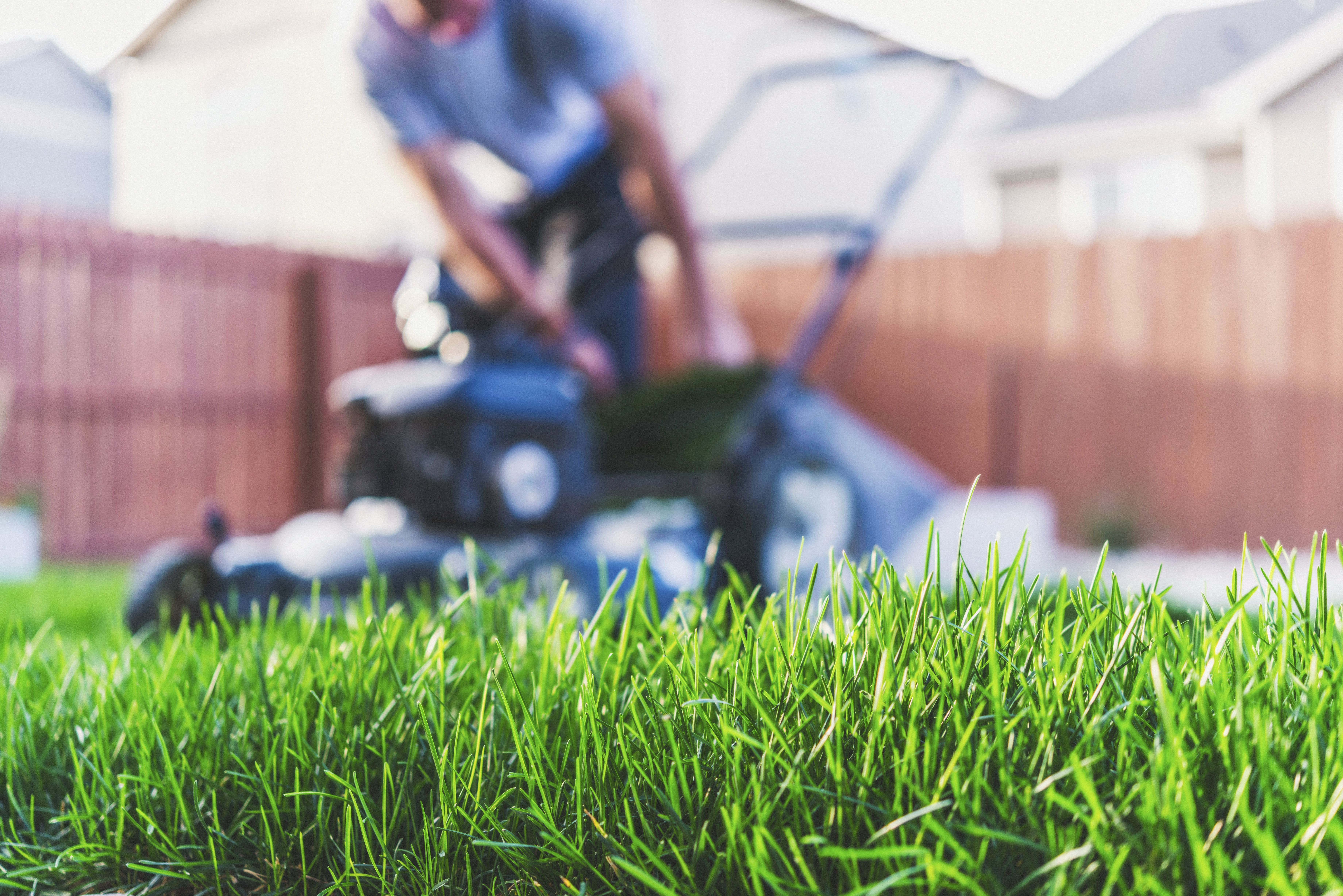 Manteniment de jardins privats i de zones comunitàries: Els nostres serveis de Jardinería Bordera Manteniment de jardins privats i de zones comunitàries: Els nostres serveis de Jardinería Bordera