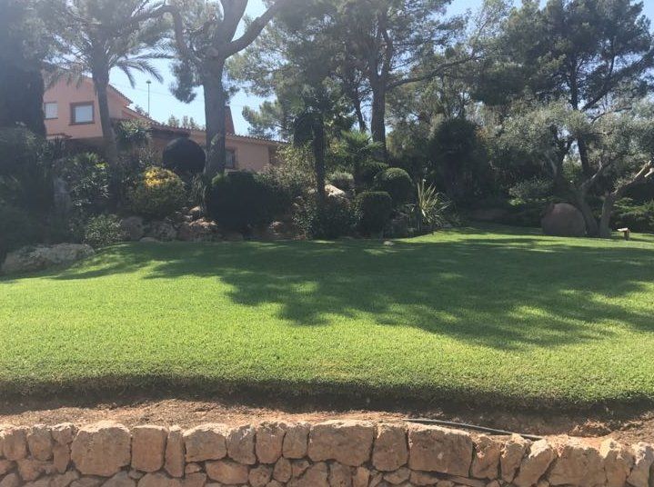 Diseño y mantenimiento de jardines: Servicios de Jardines Jasa Diseño y mantenimiento de jardines: Servicios de Jardines Jasa