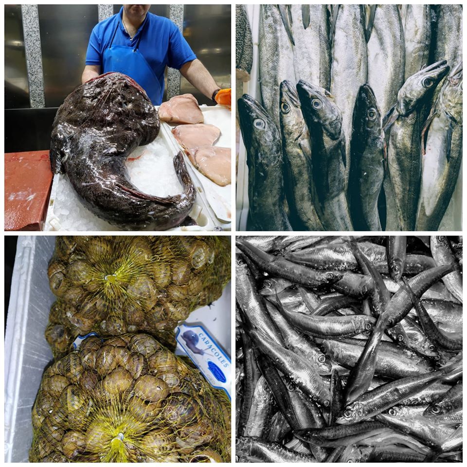 Pescado fresco y marisco  al mejor precio en Torrejón de Ardoz
