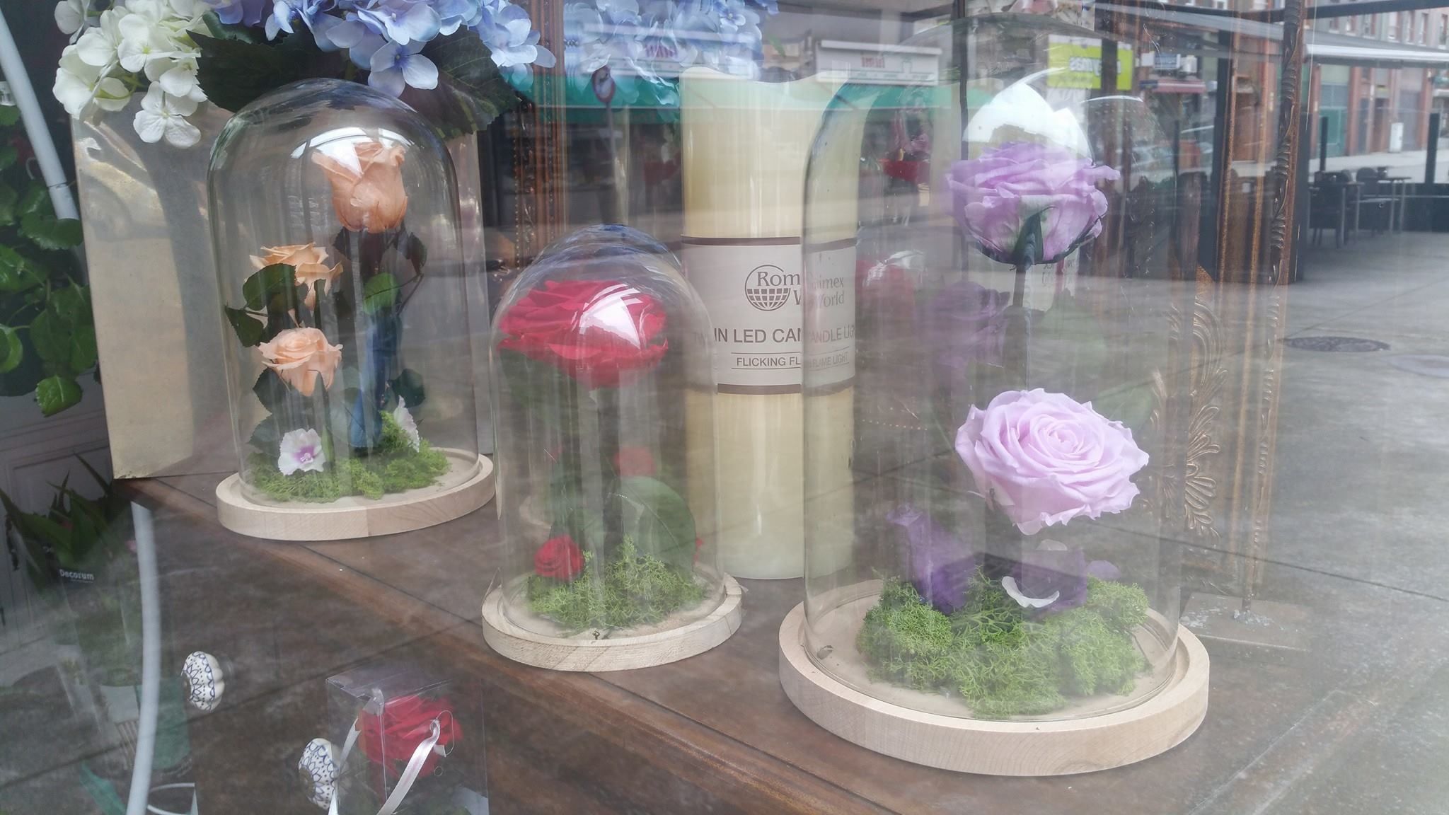 Rosas eternas en cúpula de cristal: Servicios de Floristería Albuerne Rosas eternas en cúpula de cristal: Servicios de Floristería Albuerne