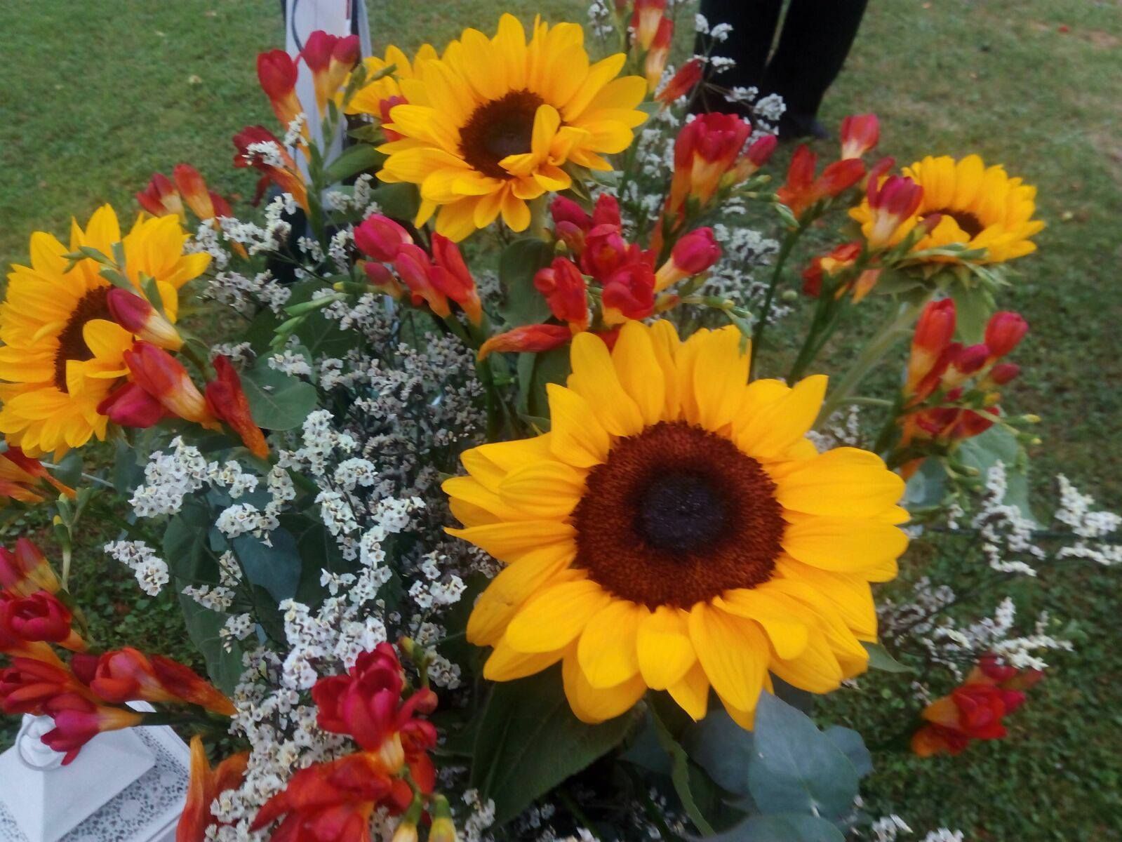 Flores y plantas: Servicios de Floristería Albuerne Flores y plantas: Servicios de Floristería Albuerne