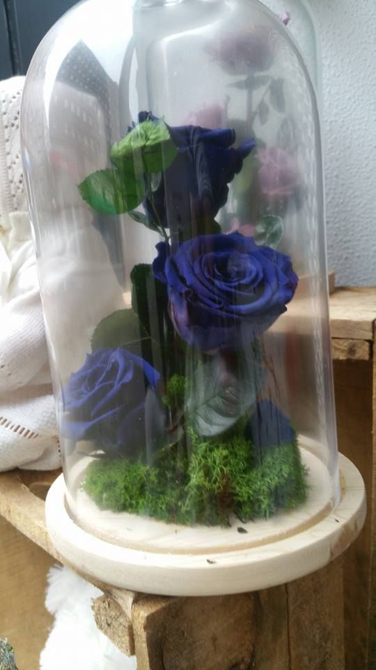 Rosas eternas en cúpula de cristal: Servicios de Floristería Albuerne Rosas eternas en cúpula de cristal: Servicios de Floristería Albuerne
