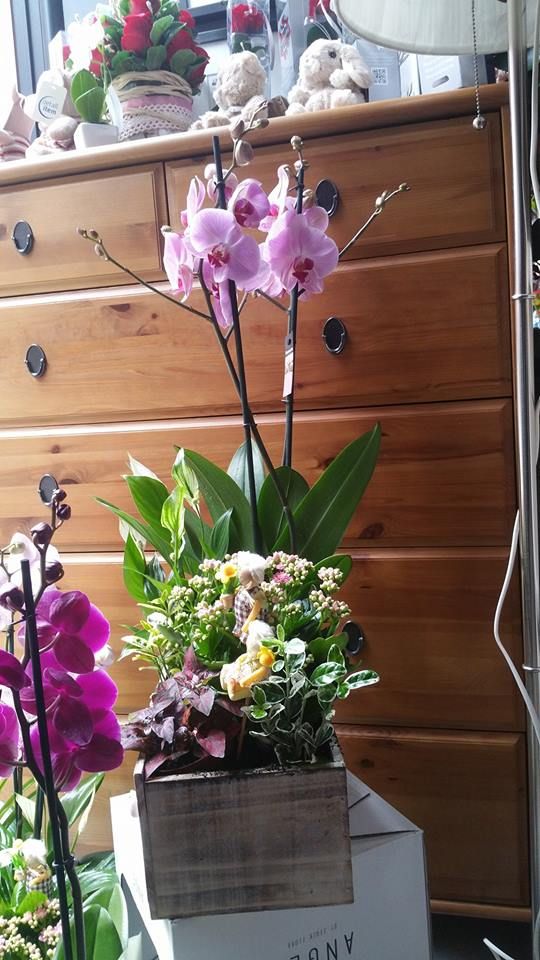 Arreglos florales: Servicios de Floristería Albuerne Arreglos florales: Servicios de Floristería Albuerne