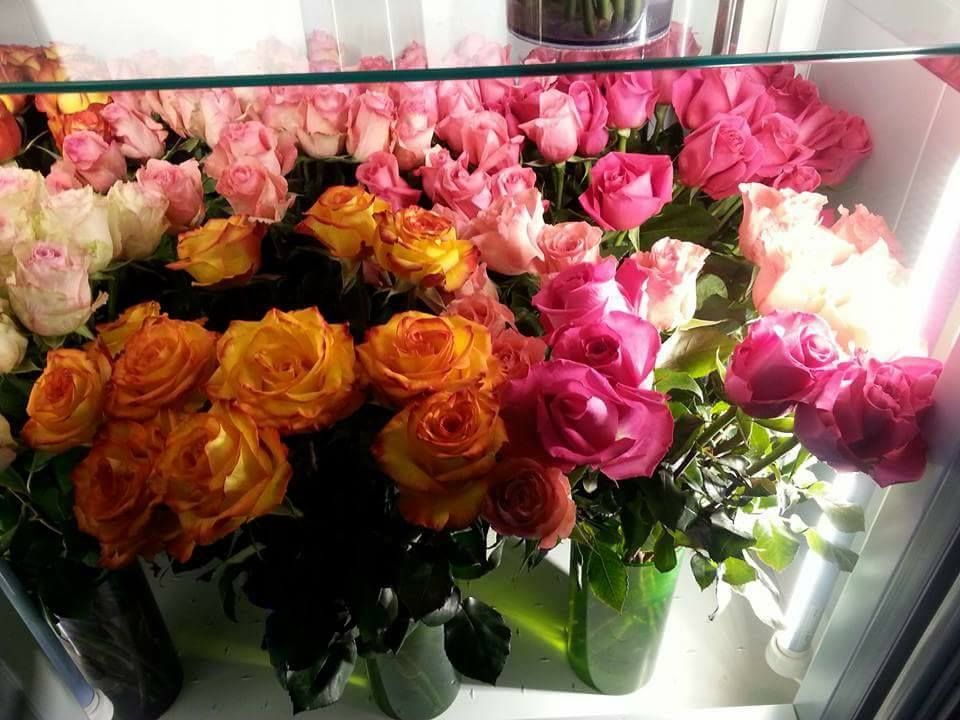 Flores y plantas: Servicios de Floristería Albuerne Flores y plantas: Servicios de Floristería Albuerne
