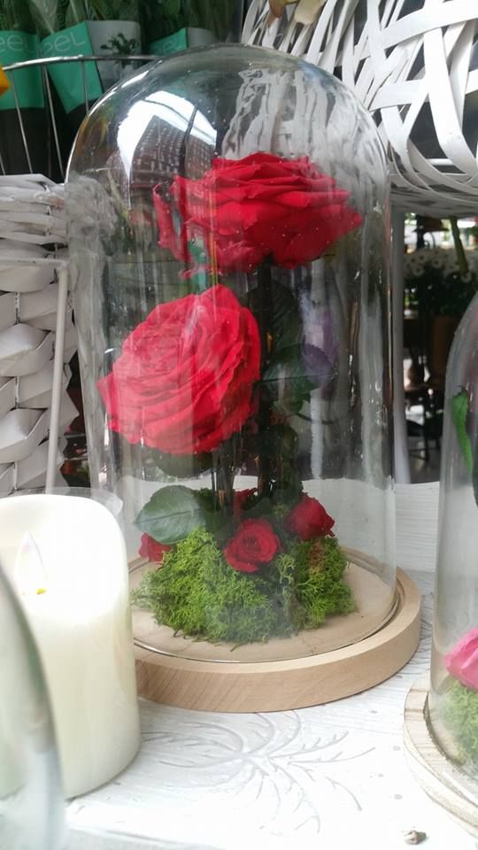 Rosas eternas en cúpula de cristal: Servicios de Floristería Albuerne Rosas eternas en cúpula de cristal: Servicios de Floristería Albuerne