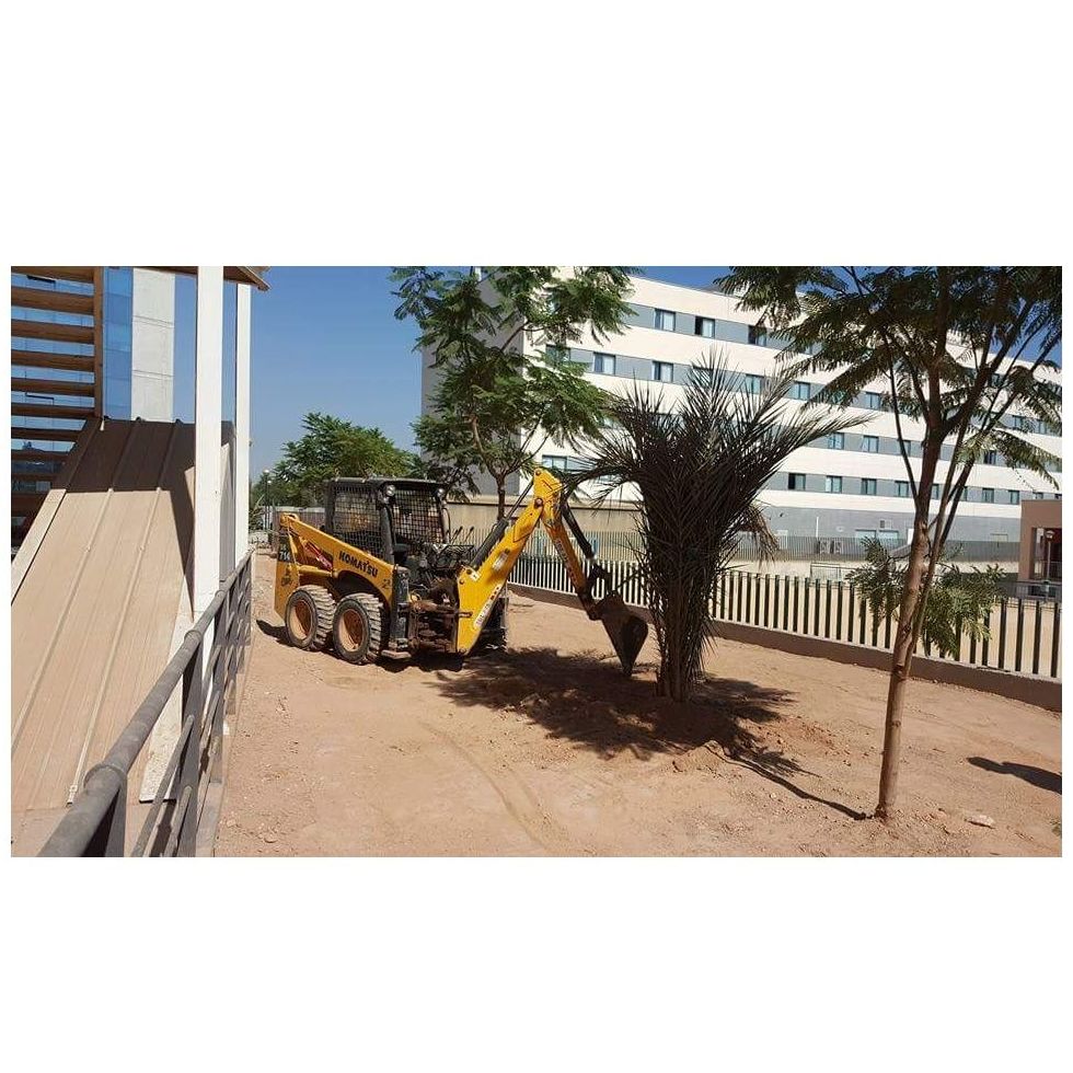 Limpiezas y arreglos de jardines: Servicios de Hnos Sánchez Excaycon s.l.u. Limpiezas y arreglos de jardines: Servicios de Hnos Sánchez Excaycon s.l.u.