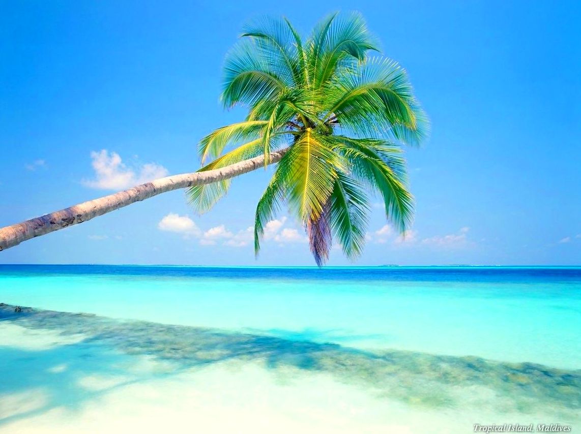 Riviera maya: Viajes de Ofertas en Viajes Riviera maya: Viajes de Ofertas en Viajes