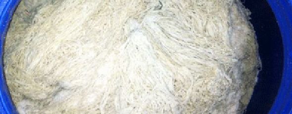Barriles: Tipos tripas y envasados de Trialmur Barriles: Tipos tripas y envasados de Trialmur