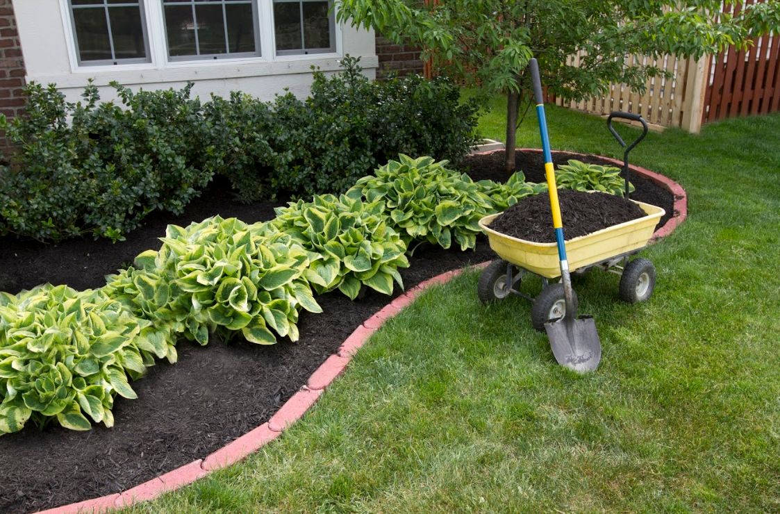 Jardinería: Servicios especializados de... de Sugarsa Jardinería: Servicios especializados de... de Sugarsa