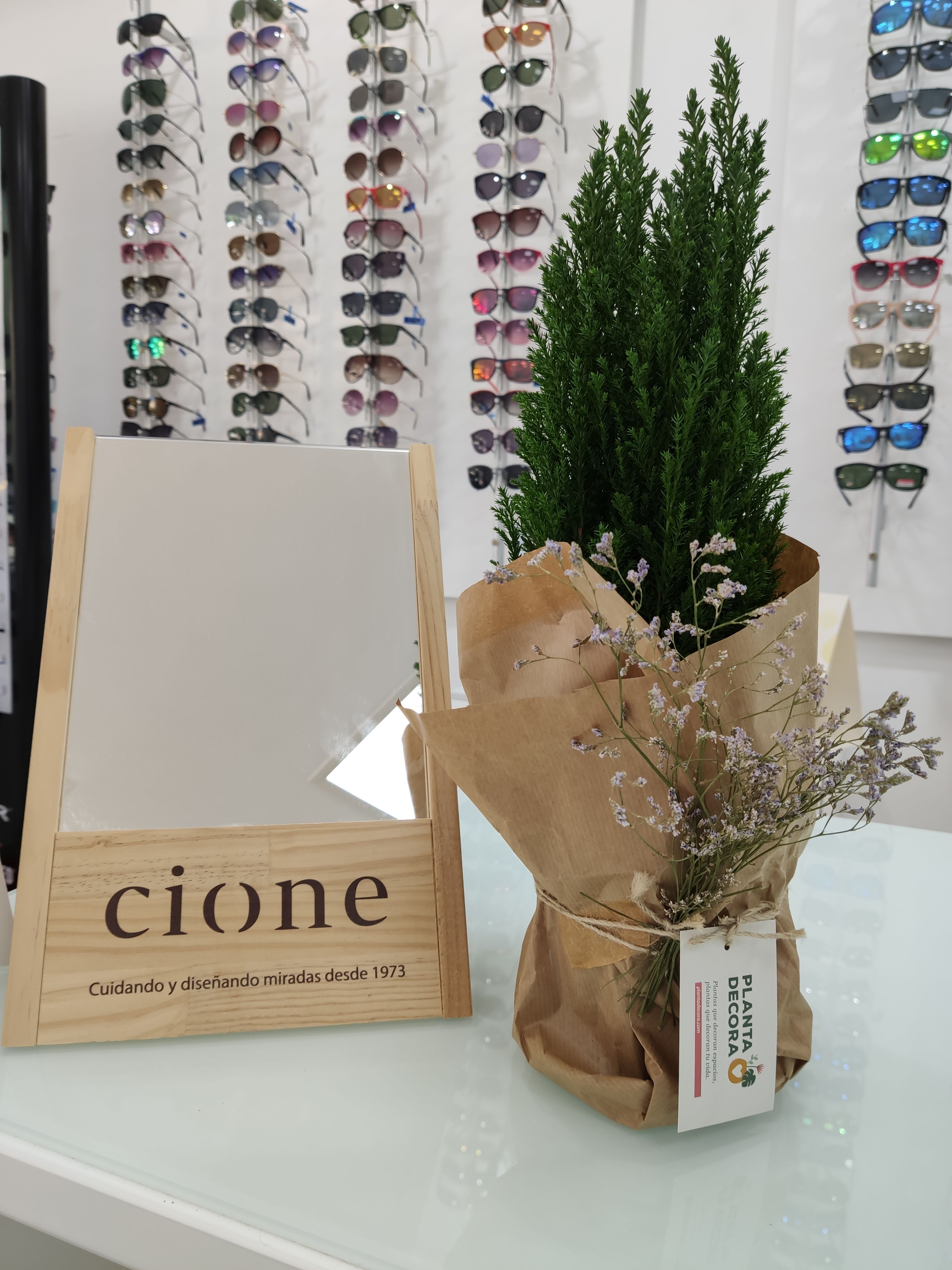 Gafas de sol: Servicios de Óptica Tomé Cano Gafas de sol: Servicios de Óptica Tomé Cano