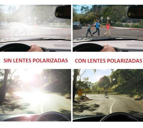GAFAS DE SOL POLARIZADAS: Óptica y audiología de ÓPTICA LA SERNA - CENTRO AUDITIVO GAFAS DE SOL POLARIZADAS: Óptica y audiología de ÓPTICA LA SERNA - CENTRO AUDITIVO