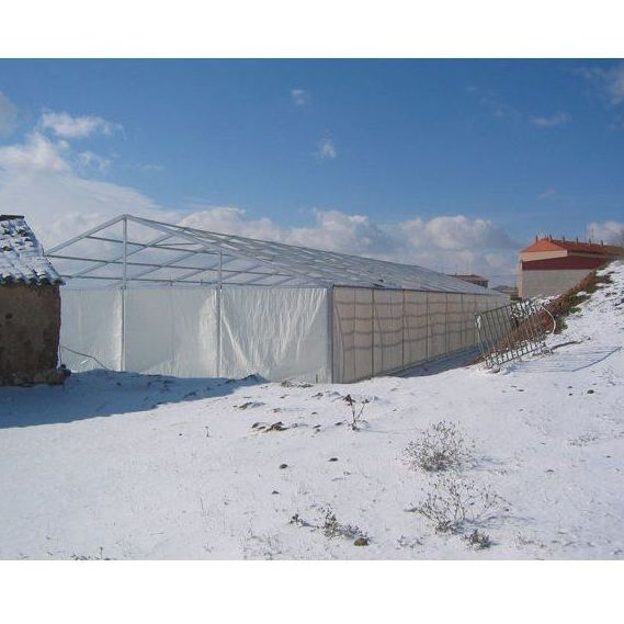 Pórtico 20: Tipos de carpas de Carpas GPI Pórtico 20: Tipos de carpas de Carpas GPI