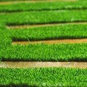 Jardinería: Tipos de carpas de Carpas GPI Jardinería: Tipos de carpas de Carpas GPI