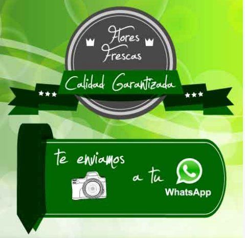 Confirmación de pedidos con foto: Acceder a Servicios de Floristería Jardinflor Confirmación de pedidos con foto: Acceder a Servicios de Floristería Jardinflor