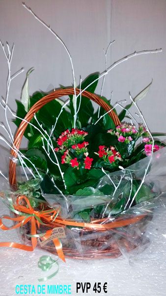 Cesta de mimbre 45,00 € Cesta de mimbre 45,00 €